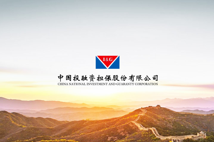 中國投融資擔(dān)保集團(tuán)